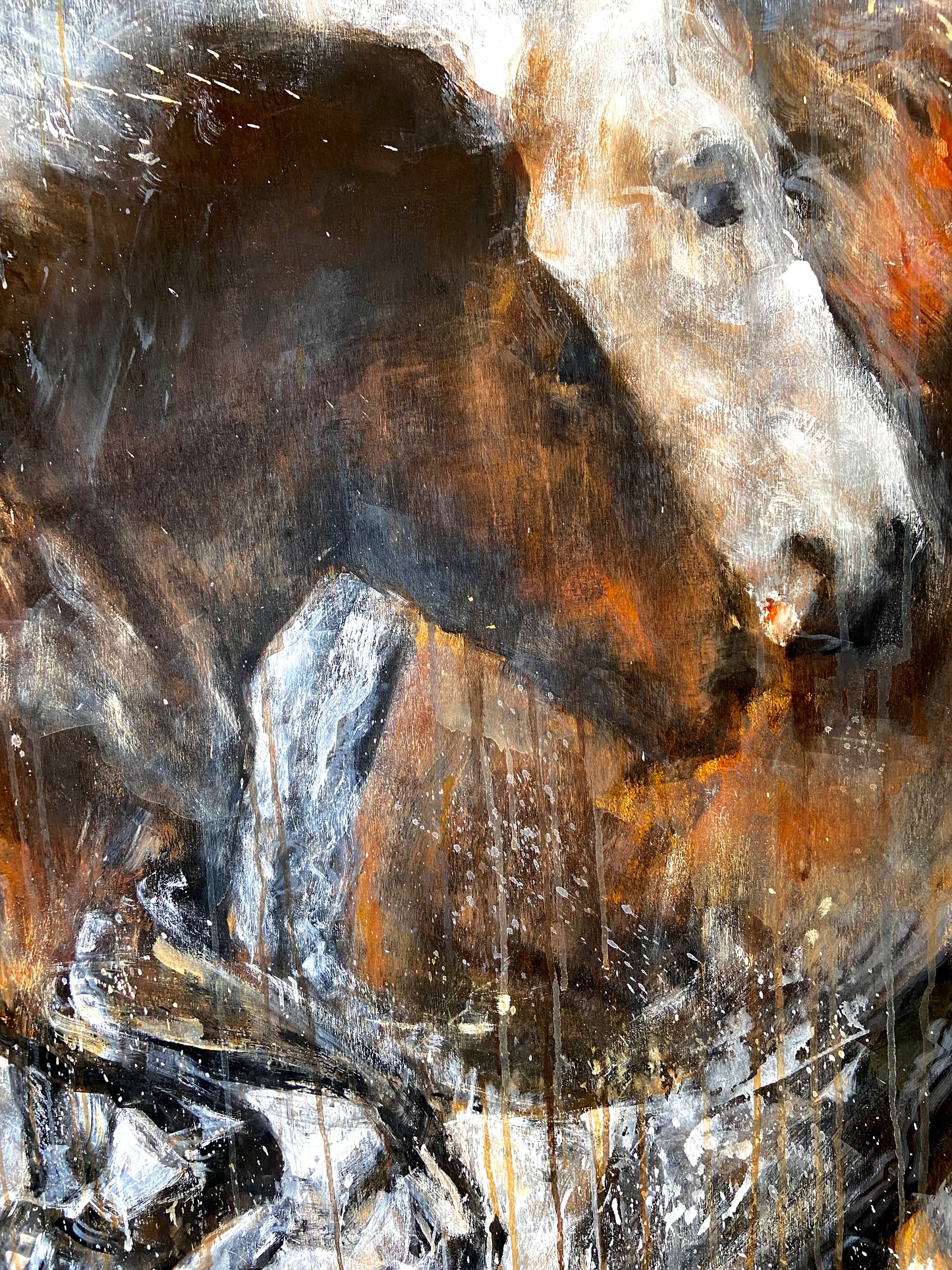 Wild Horses