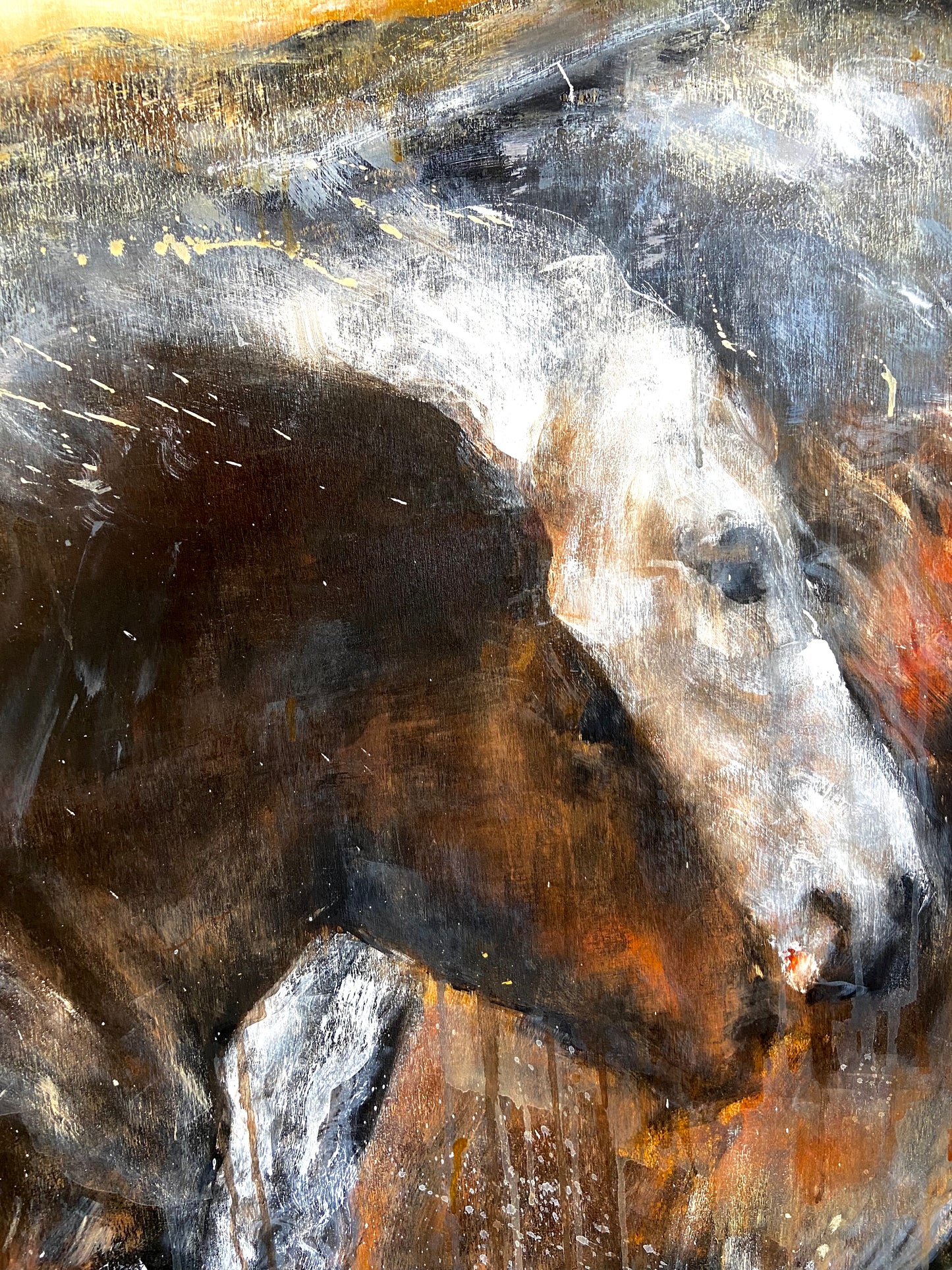 Wild Horses