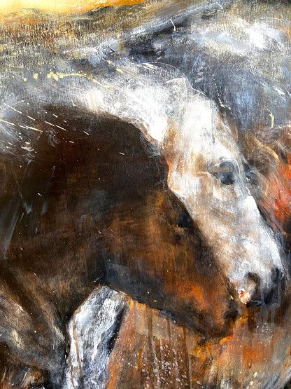 Wild Horses