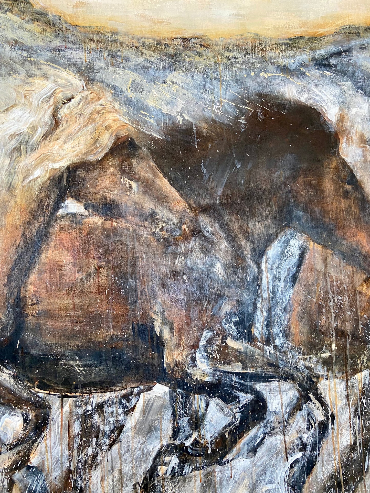 Wild Horses
